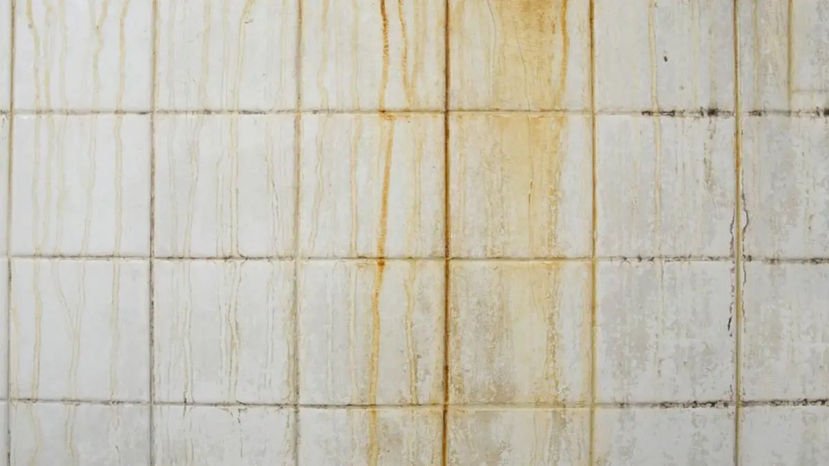 Dirty Tile Joints